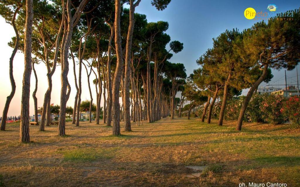 Myconos C2 - Pineto Vacanza المظهر الخارجي الصورة