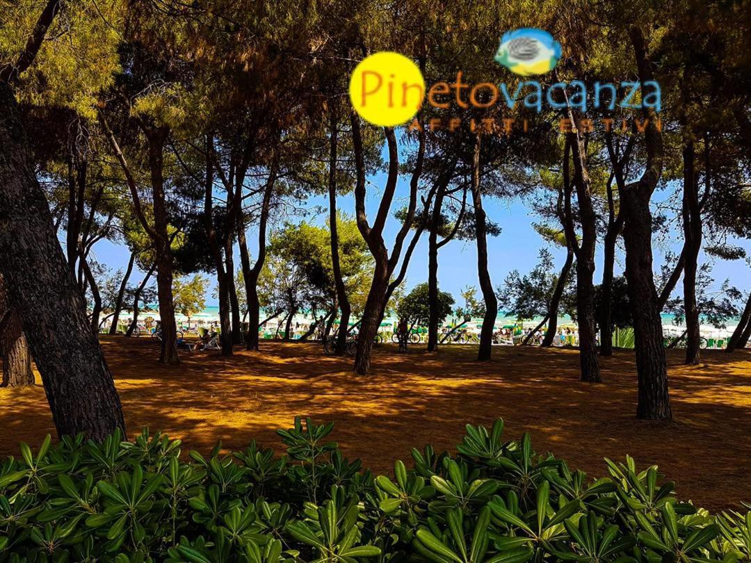 Myconos C2 - Pineto Vacanza المظهر الخارجي الصورة